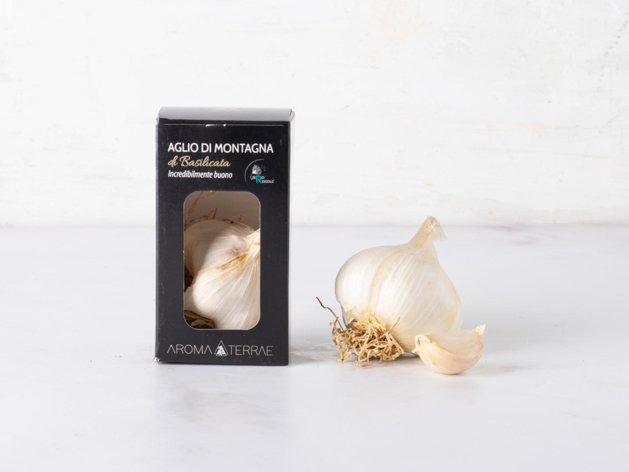 Aglio bianco di montagna della Basilicata