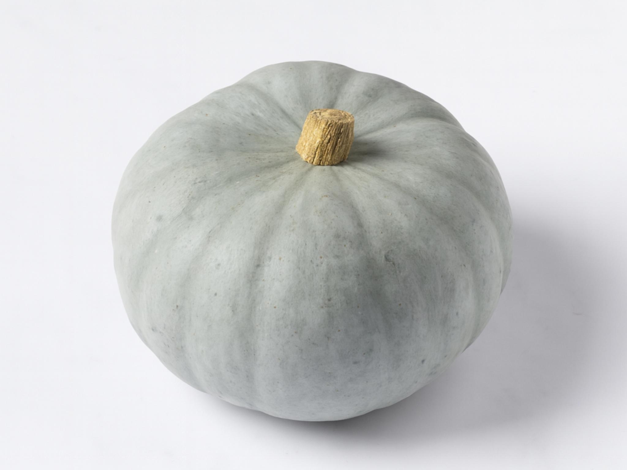 Zucca vanity