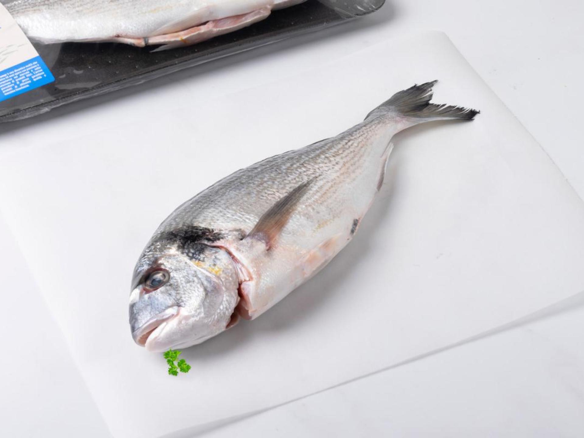 Orata italiana allevata in mare aperto