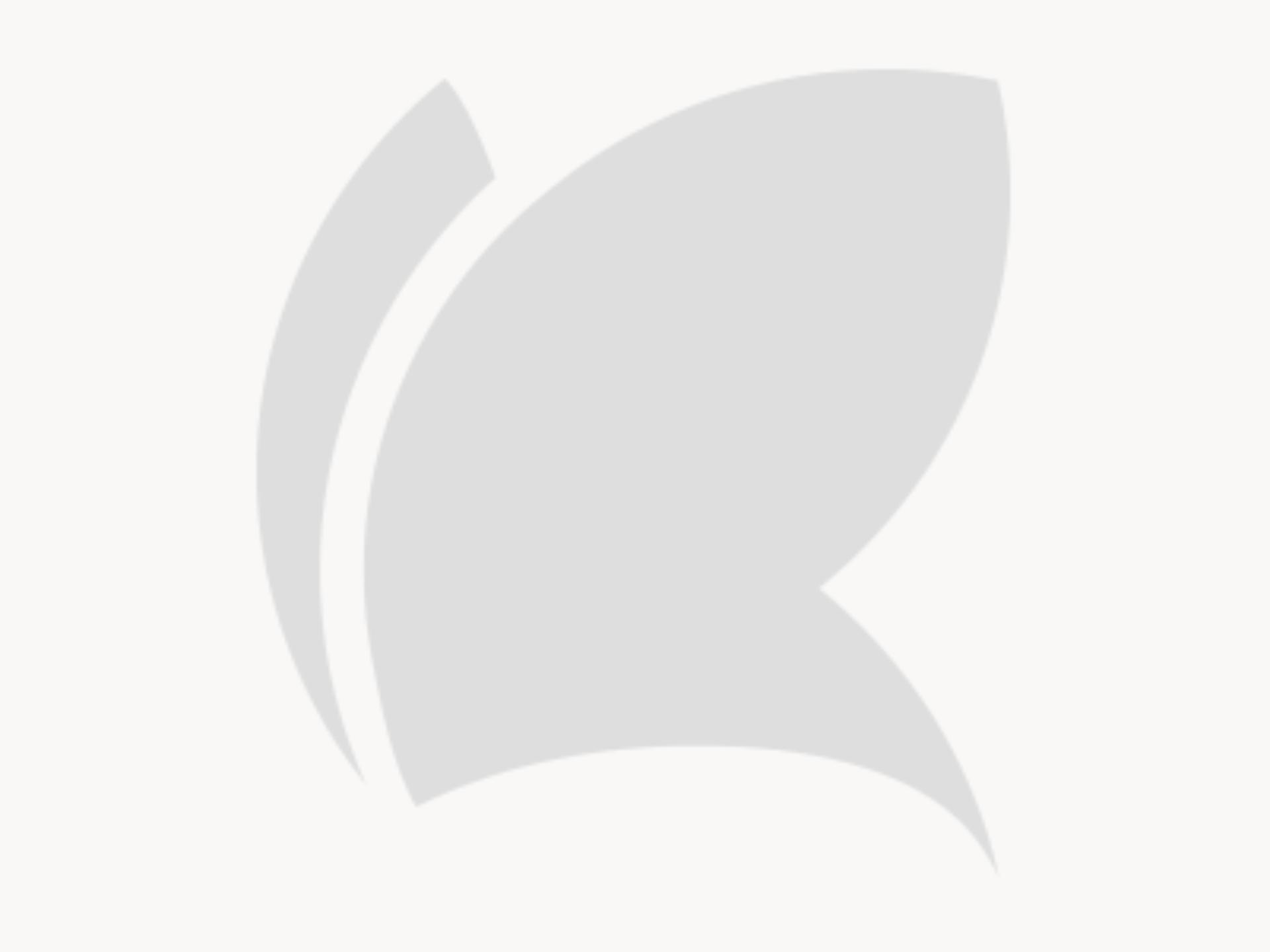 Sugo alle olive BIO