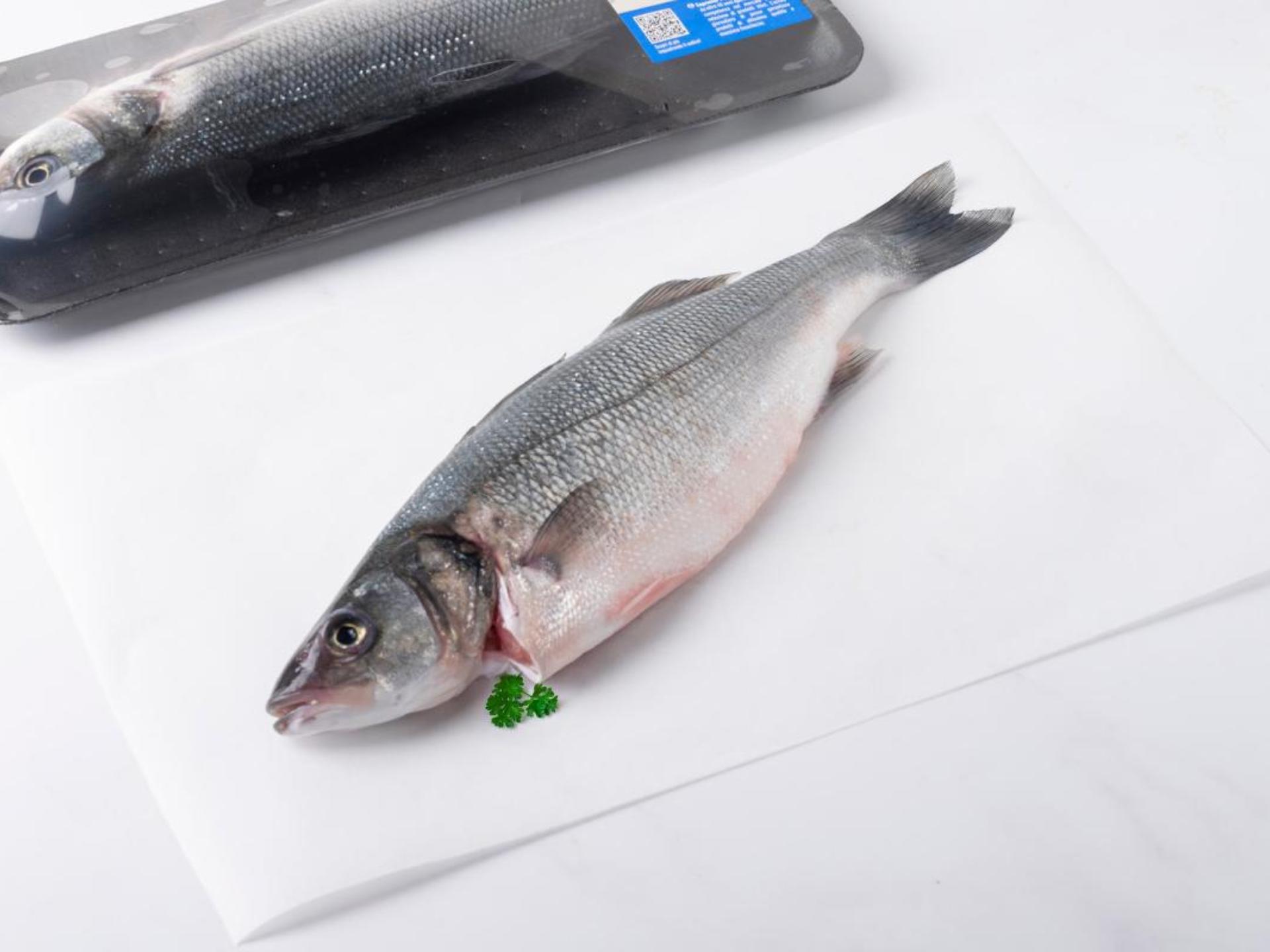 Branzino italiano allevato in mare aperto
