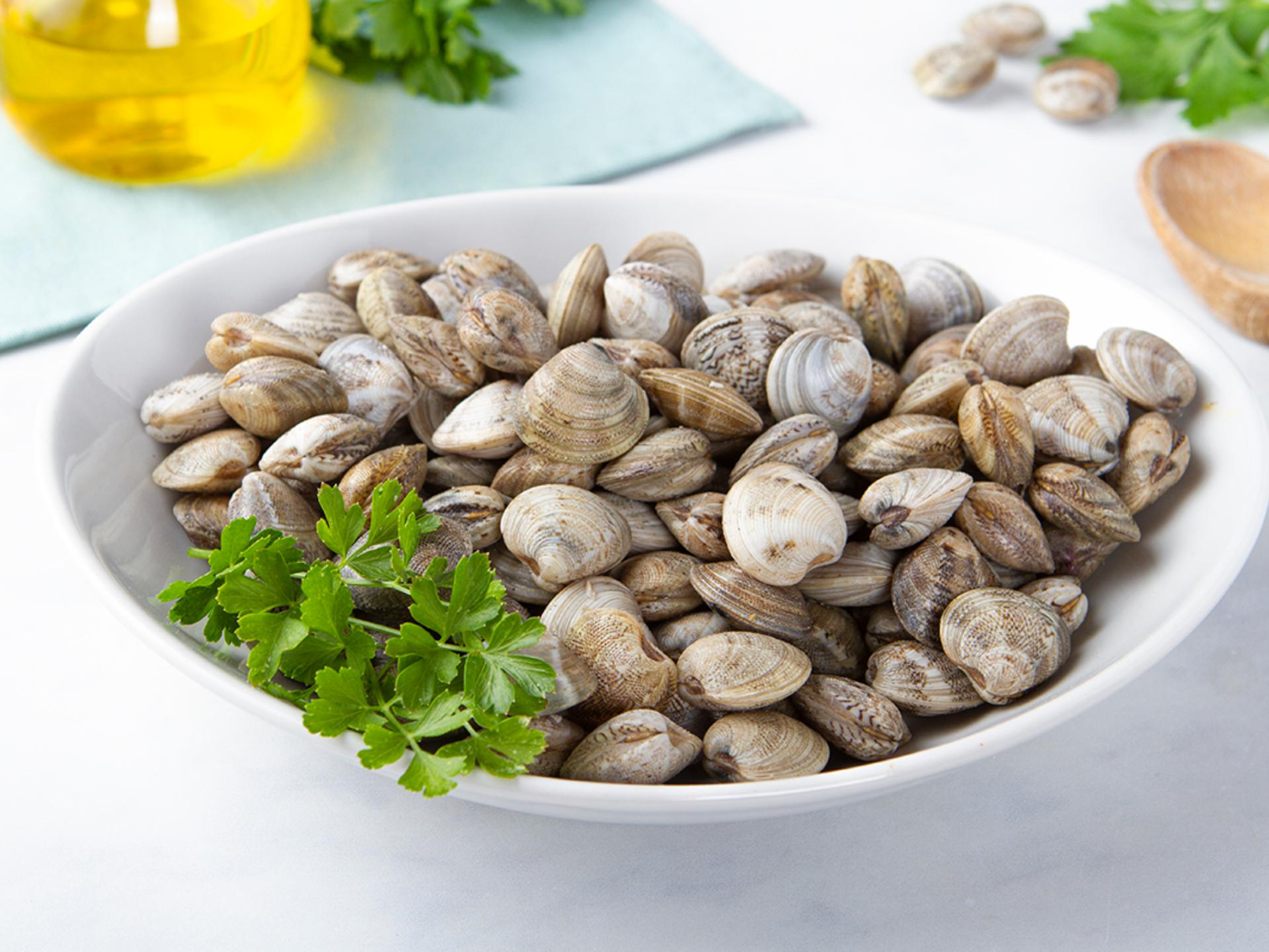 Vongole lupini dell'Adriatico