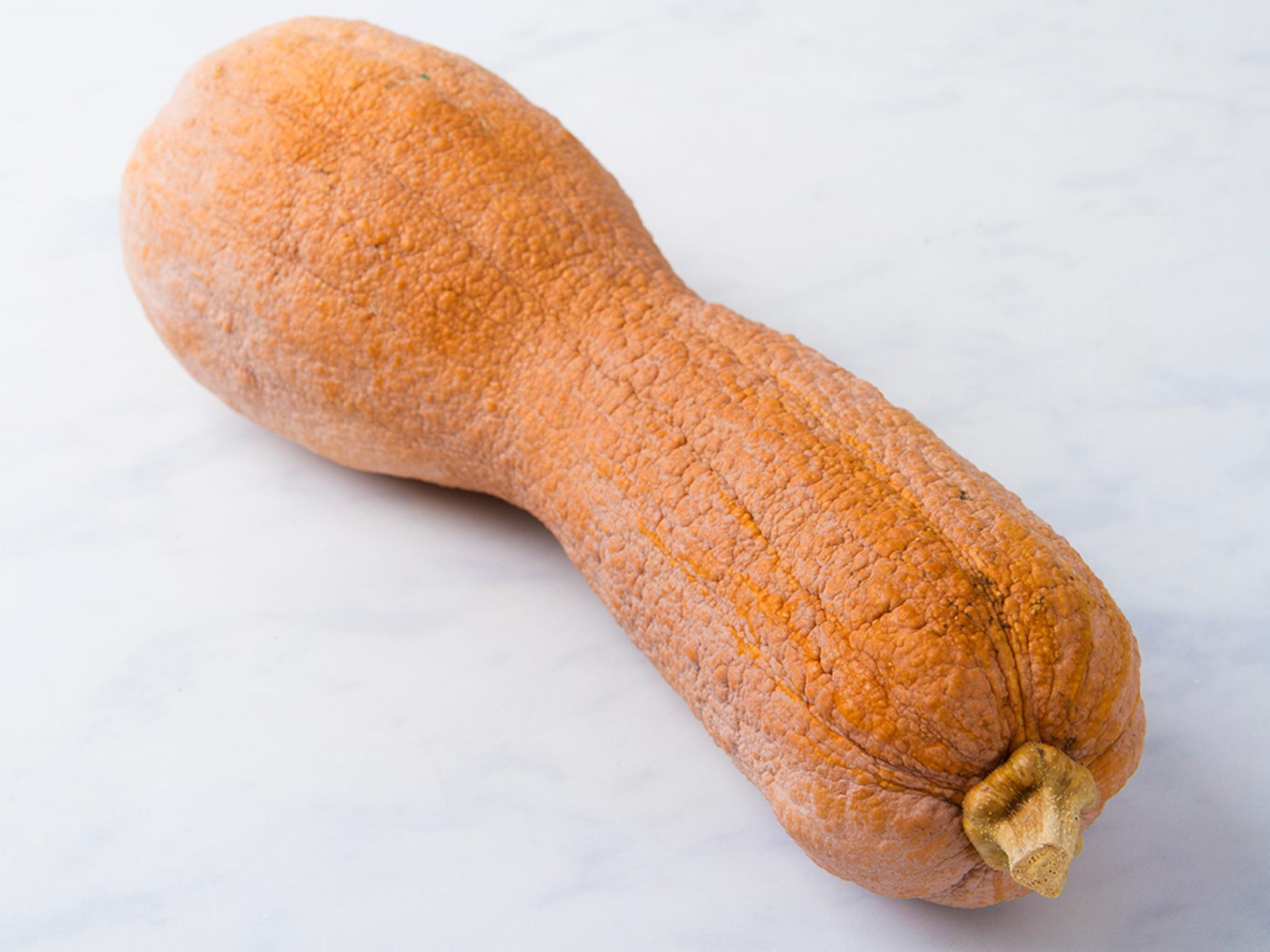 Zucca violina BIO