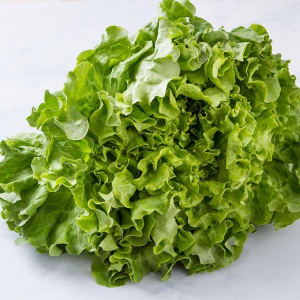 Cascina Pizzo Lattuga gentile | 350 g
