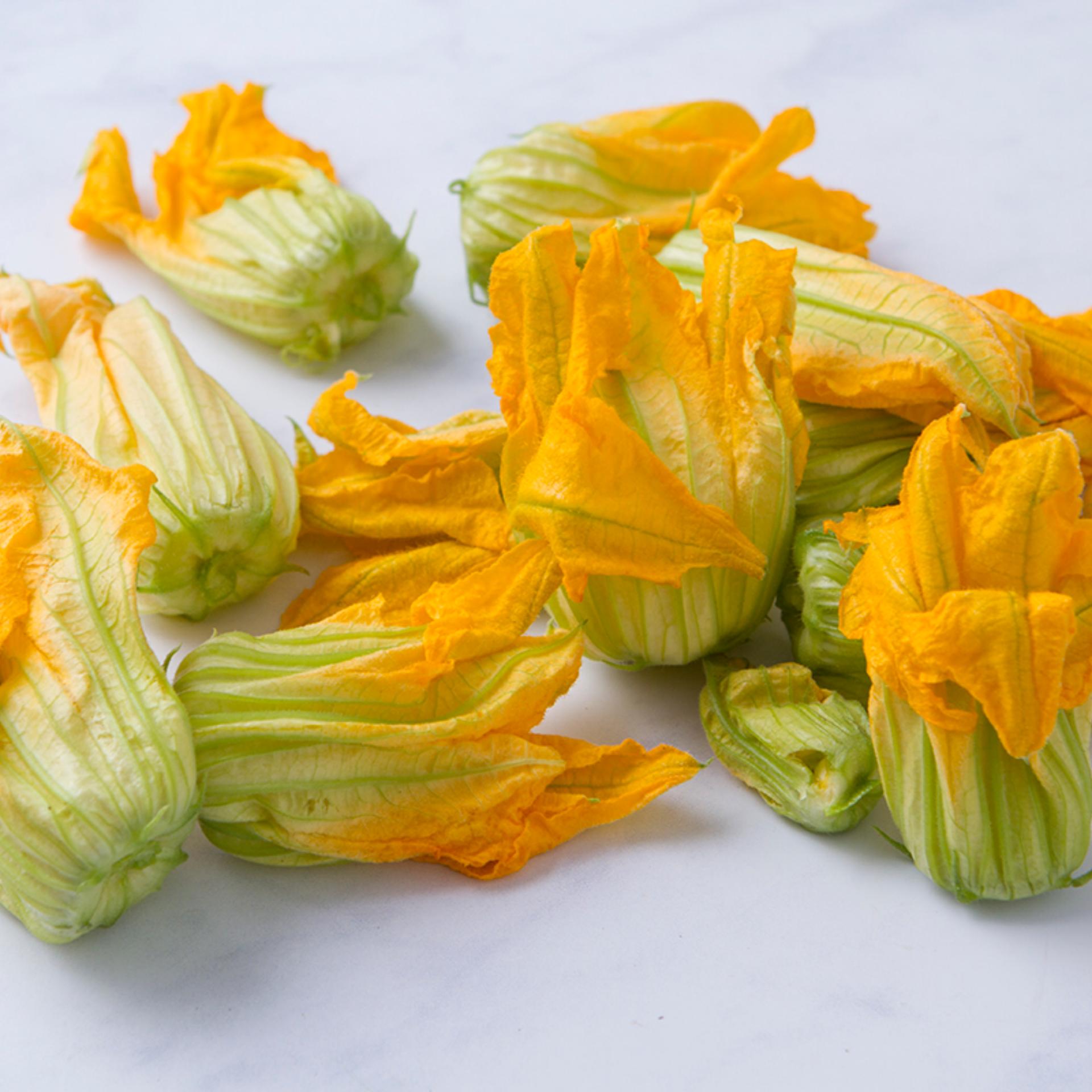 Fiori di zucchina