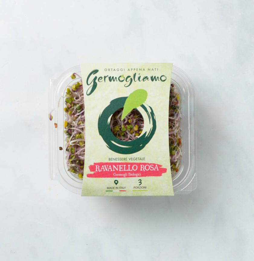 Germogli Di Ravanello Viola Microgreen Nella Tua Mano | Foto Premium - Foto 5